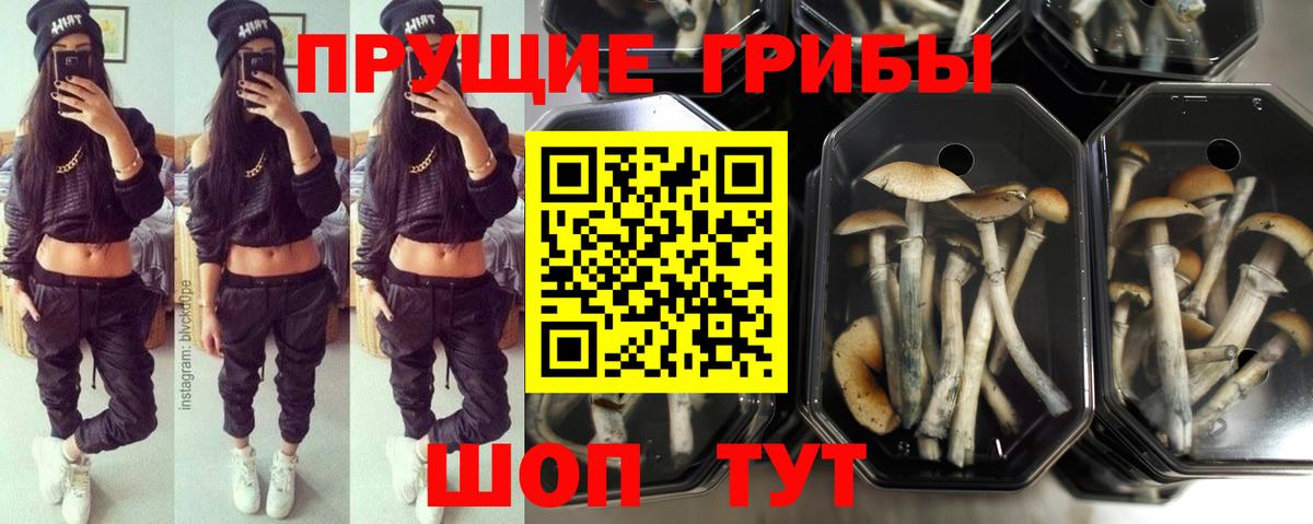 Галлюциногенные грибы мухоморы  Вход с VPN  Тимашёвск 